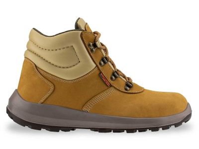 Farmer DELTA O1 FO f.81 V281 005